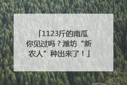 1123斤的南瓜你见过吗？潍坊“新农人”种出来了！