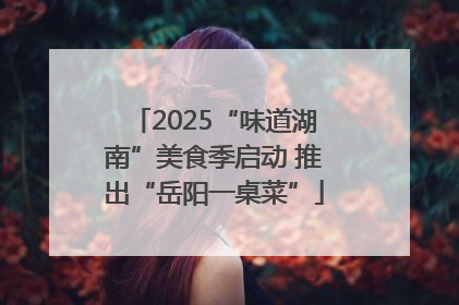 2025“味道湖南”美食季启动 推出“岳阳一桌菜”