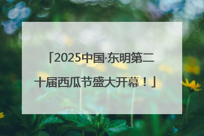 2025中国·东明第二十届西瓜节盛大开幕！