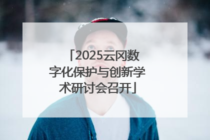 2025云冈数字化保护与创新学术研讨会召开
