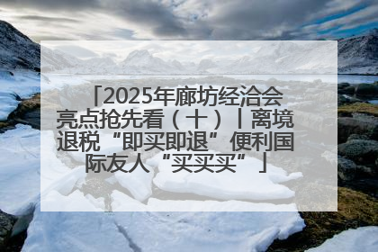 2025年廊坊经洽会亮点抢先看（十）丨离境退税“即买即退”便利国际友人“买买买”