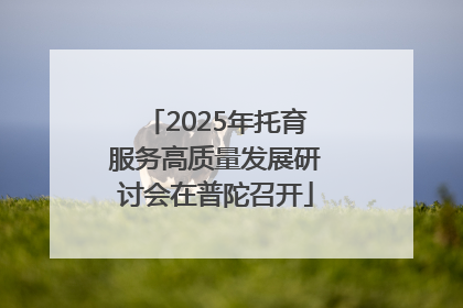 2025年托育服务高质量发展研讨会在普陀召开