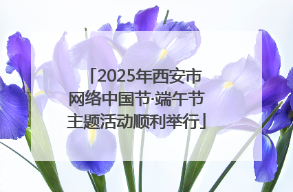 2025年西安市网络中国节·端午节主题活动顺利举行