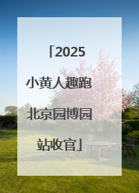 2025小黄人趣跑北京园博园站收官