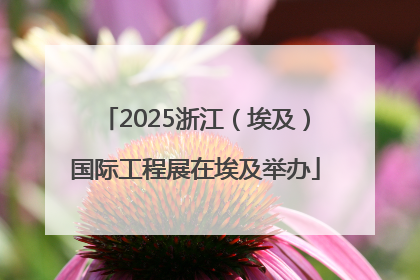 2025浙江（埃及）国际工程展在埃及举办