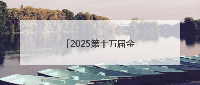 2025第十五届金鸡湖端午龙舟赛开赛