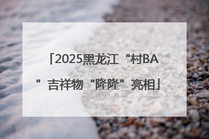2025黑龙江“村BA”吉祥物“隆隆”亮相
