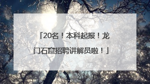 20名！本科起报！龙门石窟招聘讲解员啦！
