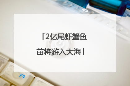 2亿尾虾蟹鱼苗将游入大海
