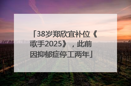 38岁郑欣宜补位《歌手2025》，此前因抑郁症停工两年