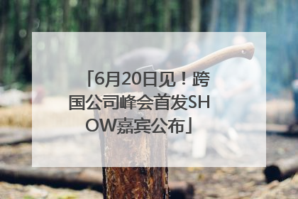 6月20日见！跨国公司峰会首发SHOW嘉宾公布