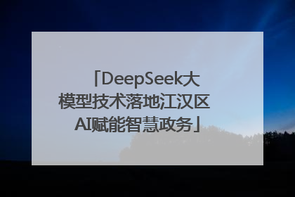 DeepSeek大模型技术落地江汉区 AI赋能智慧政务